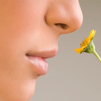 دلایل ضعف حس بویایی چیست؟