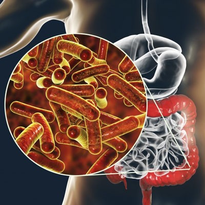 تاثیر مصرف پروبیوتیک‌ها در بهبود عملکرد گوارش و سیستم ایمنی بدن