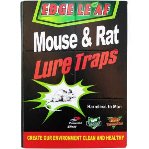 چسب موش کتابي