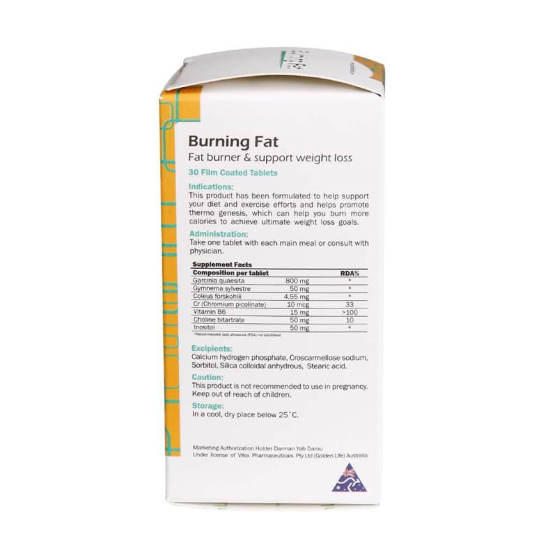 قرص روکش دار برنینگ فت گلدن لایف 30 عددی