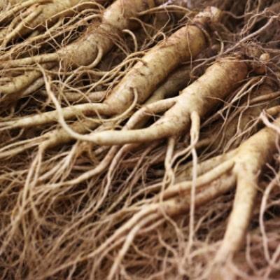 مهم‌ترین تاثیرت قرص جينسينگ براي چاقي چیست؟